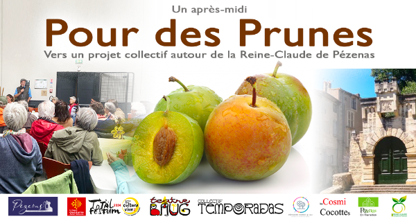 Un après-midi pour des Prunes