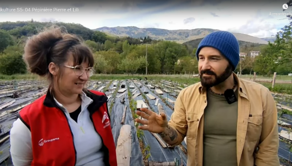 Comment cultiver chez soit un sol naturel et respectueux de la nature