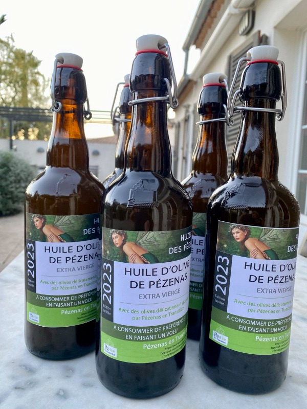 CUEILLETTE DES OLIVES OUBLIEES