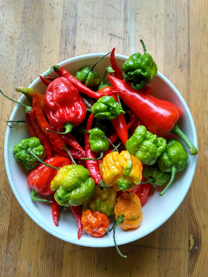 Piment