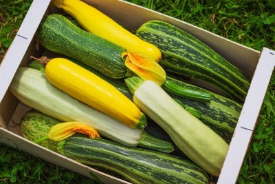 Courgette