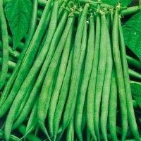 Aiguillon (Haricot)