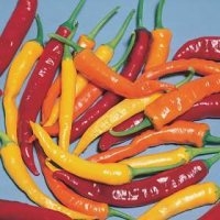 Cayenne (Piment)