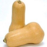 Butternut (noix beurre) (Courge)