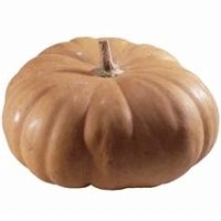 Moshata tancheese (Courge)