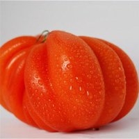 Beefsteak (Tomate)