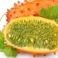 Cornu d'afrique 'kiwano' (Concombre)