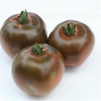 Noire russe charbonneuse (Tomate)