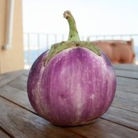 Violette florence (Aubergine)