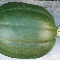 Du pérou (Courge)
