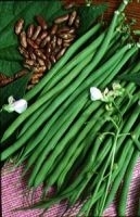 Nain fin sans fil « autan » (Haricot)