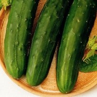 Long vert maraîcher (Concombre)