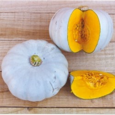 Prince crown (Courge)