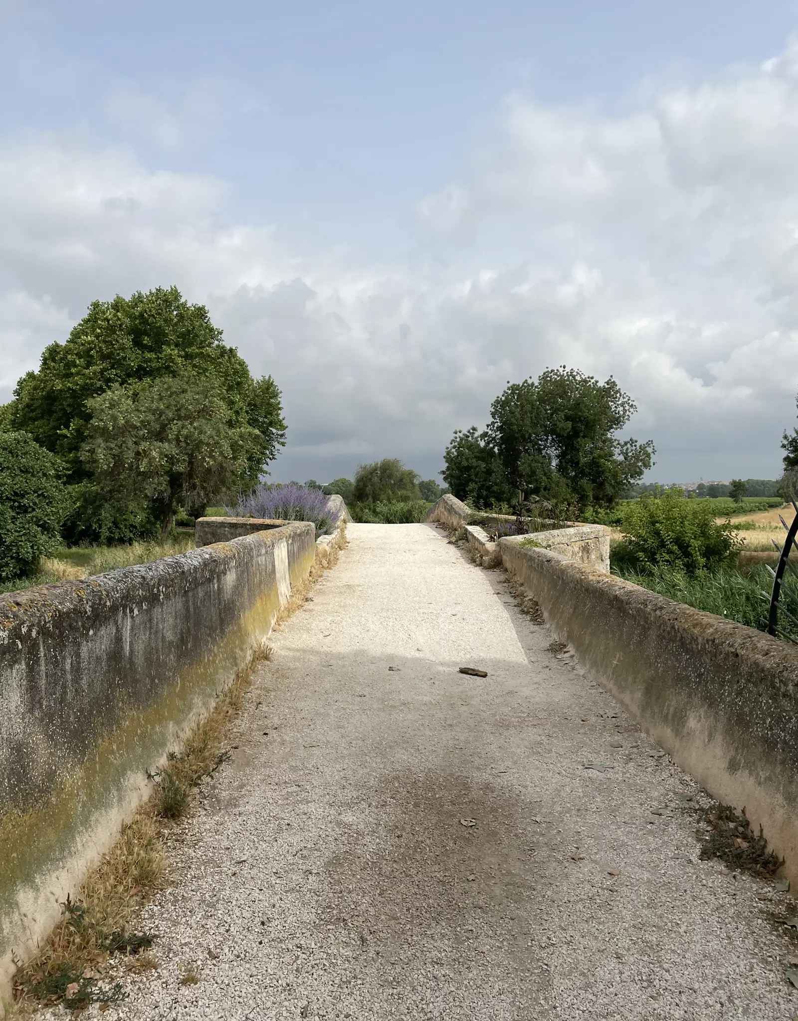 De Pézenas à Saint Thibery - photo